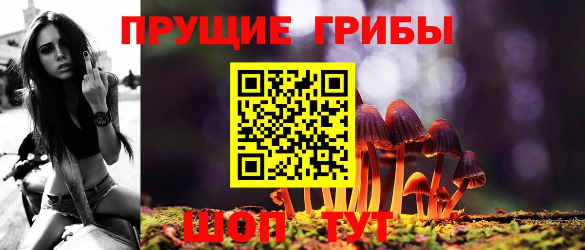 Галлюциногенные грибы MAGIC MUSHROOMS Дубна